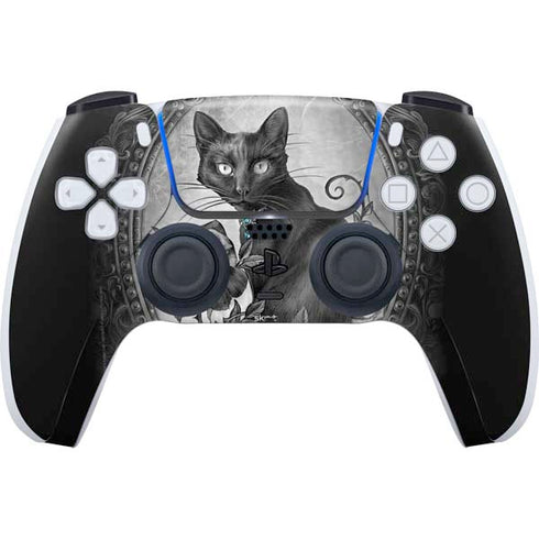 Alchemy Paracelsus - The Philosophers Familiar PS5 Controller Skin